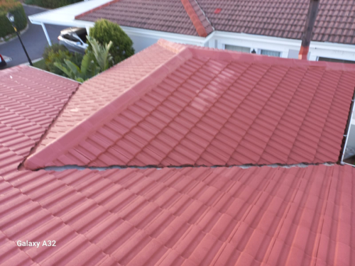 Roof-Painting-2024-06-03-1