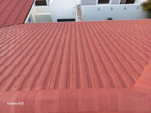 Roof-Painting-2024-06-03-10