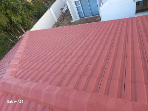 Roof-Painting-2024-06-03-11