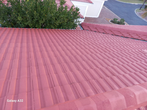 Roof-Painting-2024-06-03-2