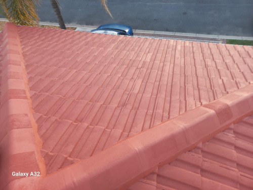 Roof-Painting-2024-06-03-3