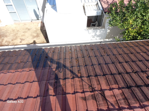 Roof-Painting-2024-06-03-4