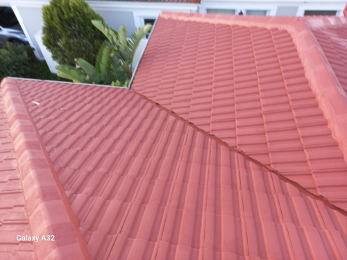 Roof-Painting-2024-06-03-5