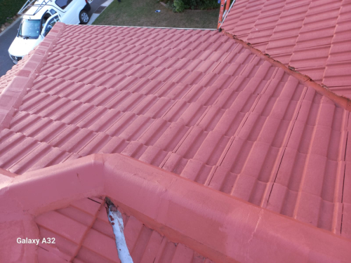 Roof-Painting-2024-06-03-6