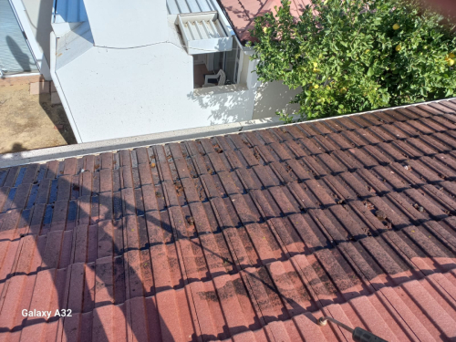 Roof-Painting-2024-06-03-7