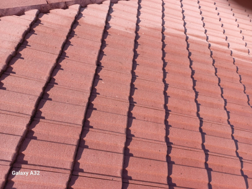 Roof-Painting-2024-06-03-8