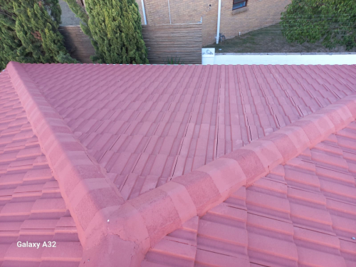 Roof-Painting-2024-06-03-9